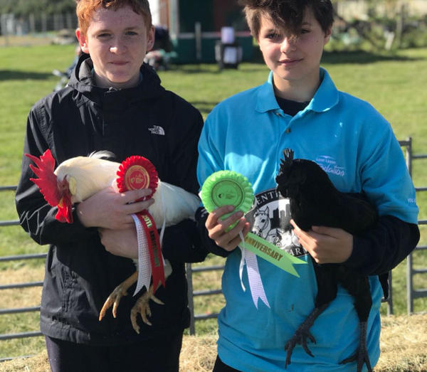 Prize winning Farm chickens and handlers at the London Harvest Festival 