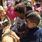 School children meet the goats