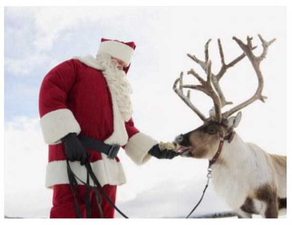 Santa Claus feeding a reindeer