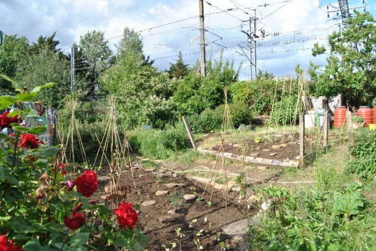 News Kentish Town City Farm