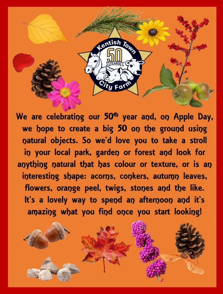 We are celebrating our 50th year and on Apple Day we hope to create a big 50 on the ground using natural objects. So we'd love you to take a stroll in your local park. garden or forest and look for
anything natural that bas colour or texture, or is an interesting shape: acorns, conkers, autumn leaves,
flowers, orange peel, twigs, stones and the like. It's a lovely way to spend an afternoon and it's amazing what you find once you start looking!