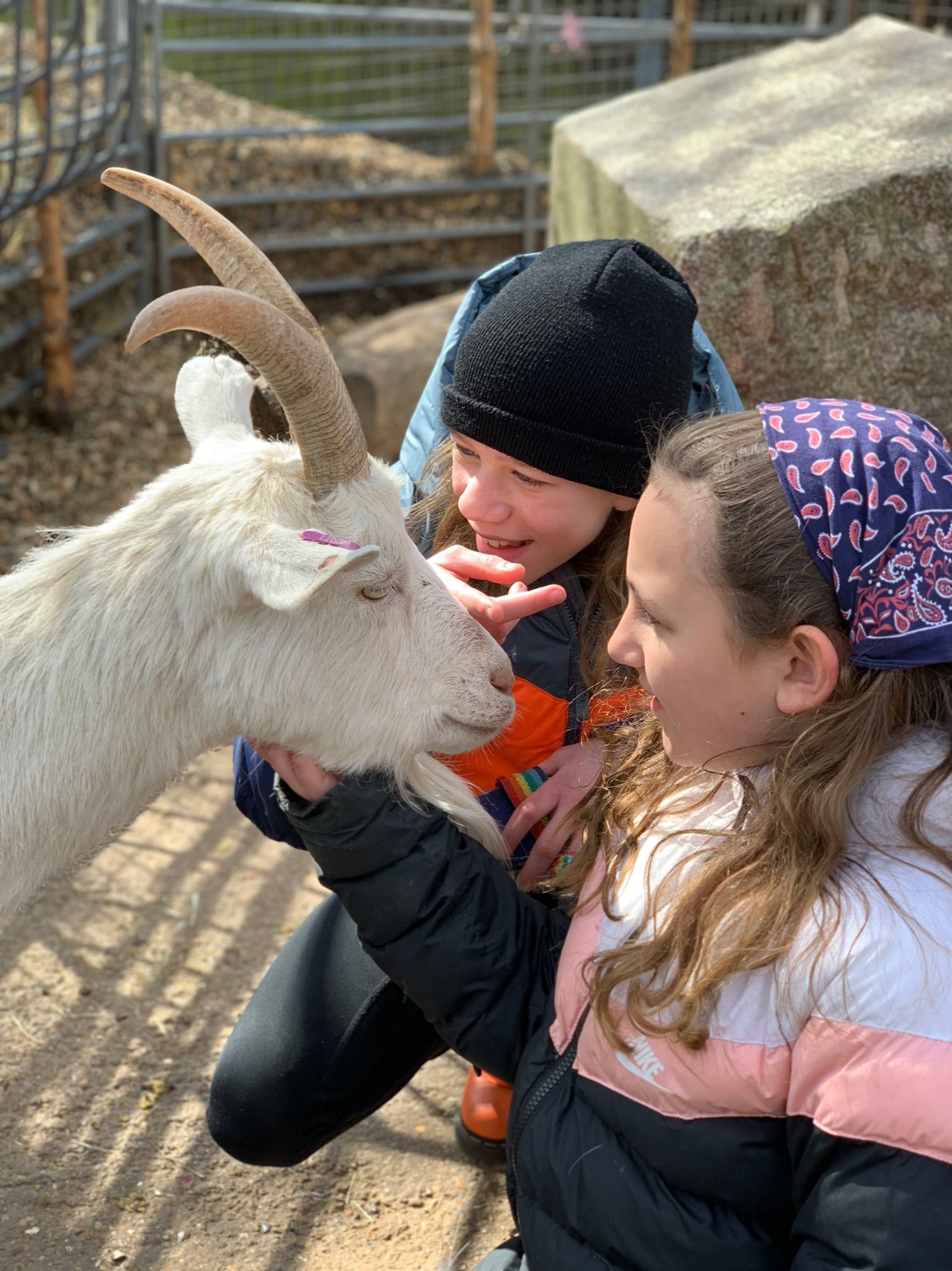 Animal Handling Sessions